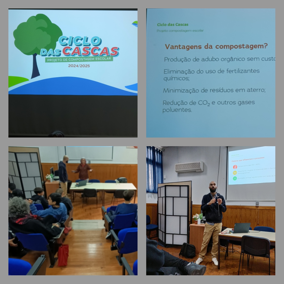 Ciclo das Cascas – Agrupamento de Escolas D. Afonso III